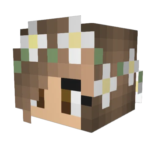 Babo198 Minecraft avatar head, 3D render