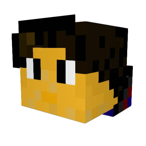 Babsdaknasher Minecraft avatar head, 3D render