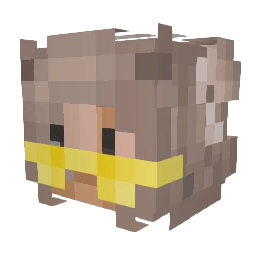 Babsix3 Minecraft avatar head, 3D render
