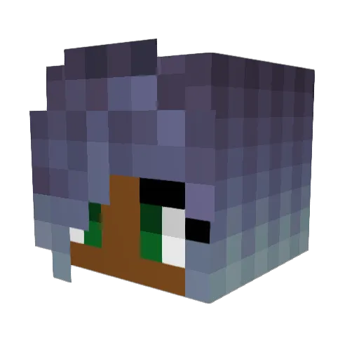 Baby1212 Minecraft avatar head, 3D render