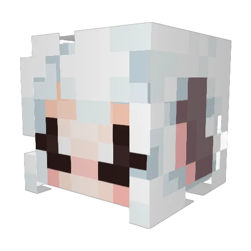 Baby3ater0 Minecraft avatar head, 3D render
