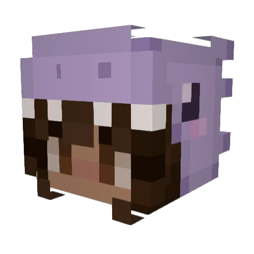 BabyBear0123 Minecraft avatar head, 3D render