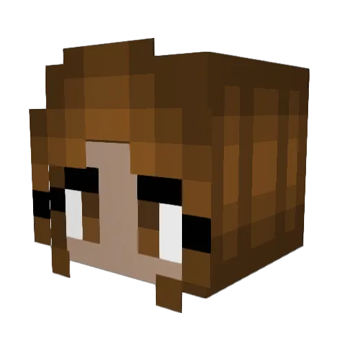 BabyBee01 Minecraft avatar head, 3D render