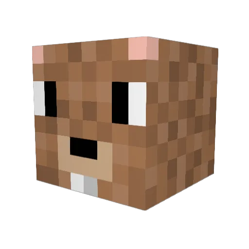 BabyBlue57 Minecraft avatar head, 3D render
