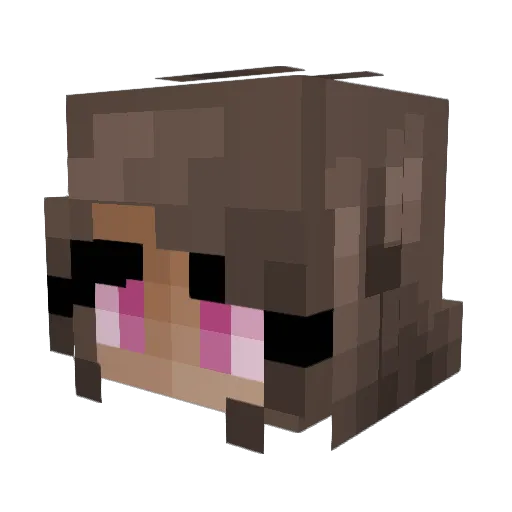 BabyButterfly3 Minecraft avatar head, 3D render