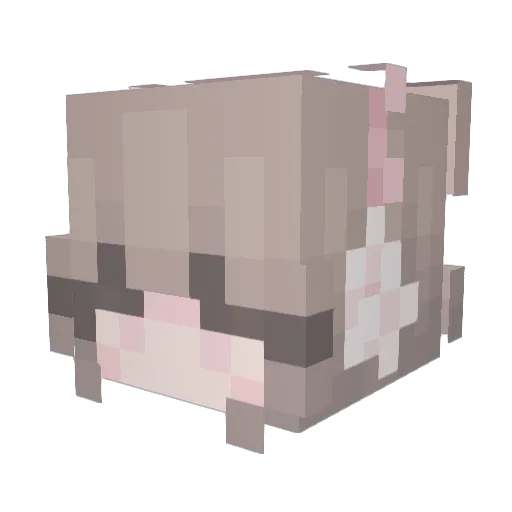 BabyCat__ Minecraft avatar head, 3D render