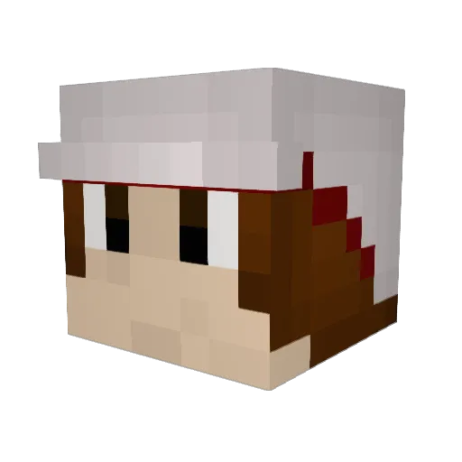 BabyCyndaquils Minecraft avatar head, 3D render