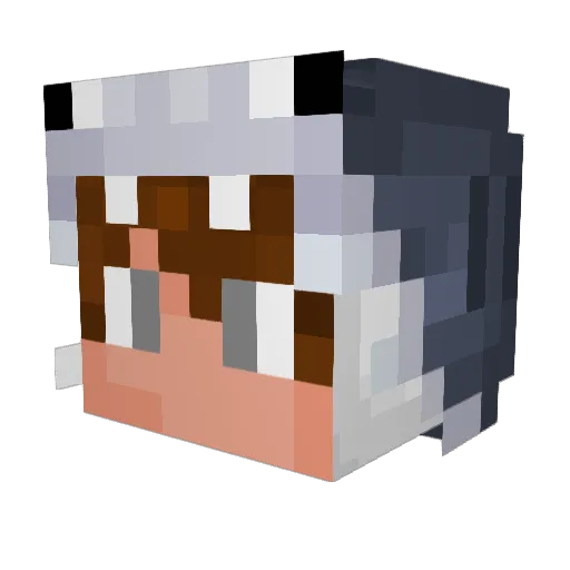 BabyDriq Minecraft avatar head, 3D render