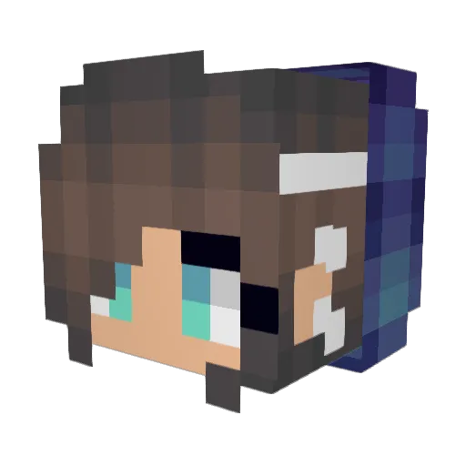 BabyDriver2564 Minecraft avatar head, 3D render