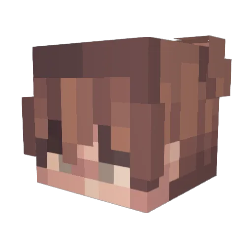 BabyDuck110011 Minecraft avatar head, 3D render