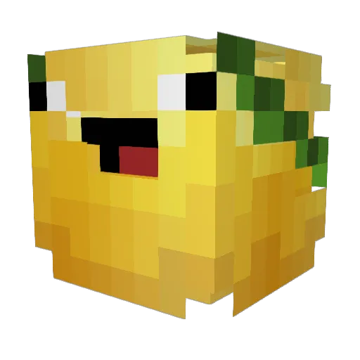 BabyFish_007 Minecraft avatar head, 3D render