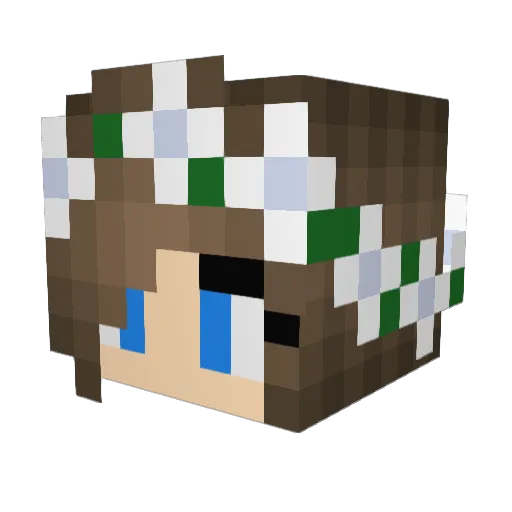 BabyFly_ Minecraft avatar head, 3D render
