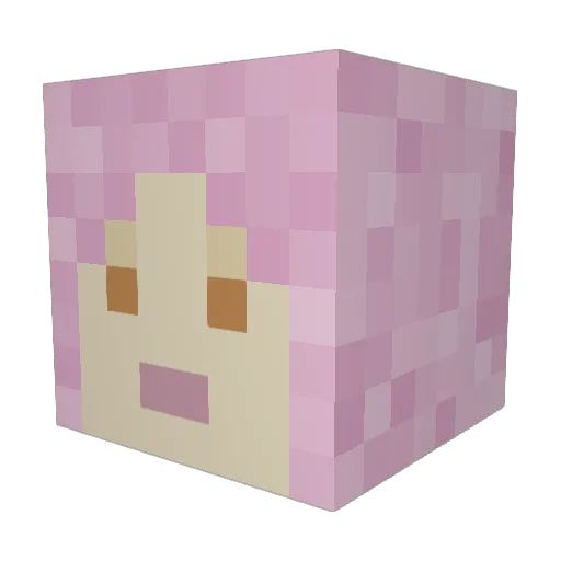 BabyFrog7 Minecraft avatar head, 3D render