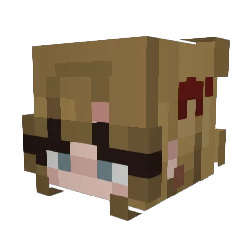BabyGirlJes Minecraft avatar head, 3D render
