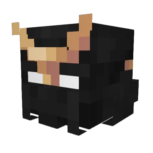 BabyKrypto Minecraft avatar head, 3D render
