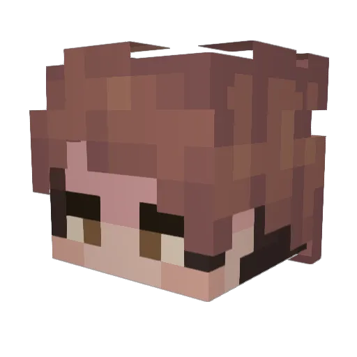 BabyKungs Minecraft avatar head, 3D render