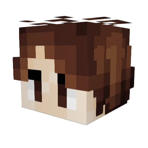 BabyNorman Minecraft avatar head, 3D render