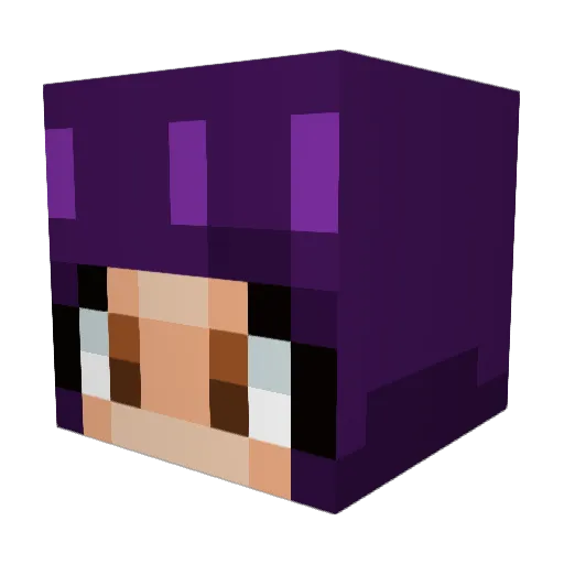BabyNugget444 Minecraft avatar head, 3D render
