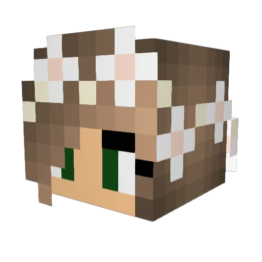 BabyPrincess423 Minecraft avatar head, 3D render