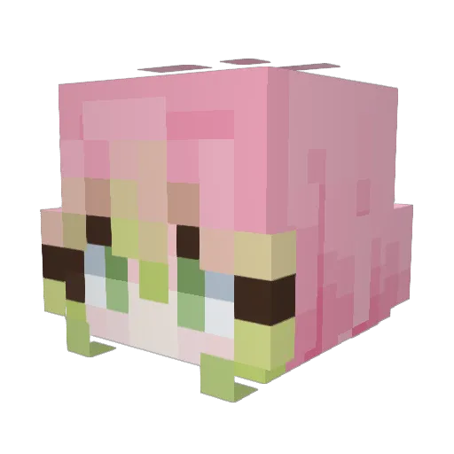 BabyPuppy18 Minecraft avatar head, 3D render