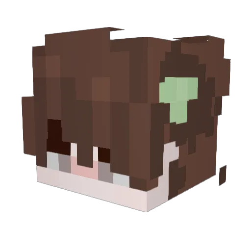 BabyRiver10 Minecraft avatar head, 3D render