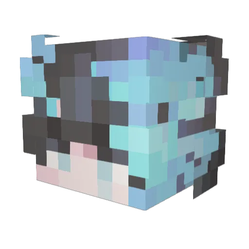 BabySky21 Minecraft avatar head, 3D render