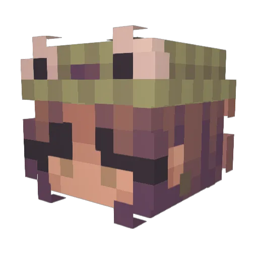 BabyUni Minecraft avatar head, 3D render