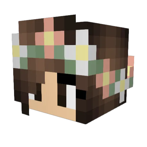 BabyUnicorn55 Minecraft avatar head, 3D render
