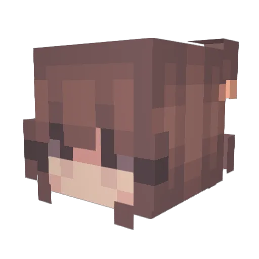BabyWinniePooh Minecraft avatar head, 3D render