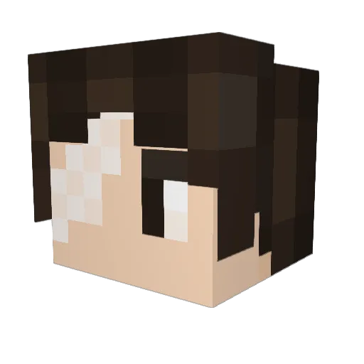 Baby_Bear21016 Minecraft avatar head, 3D render