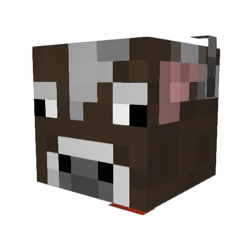 Baby_Cakes69 Minecraft avatar head, 3D render