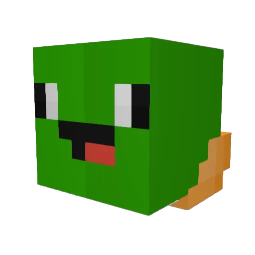 Baby_Turdle Minecraft avatar head, 3D render