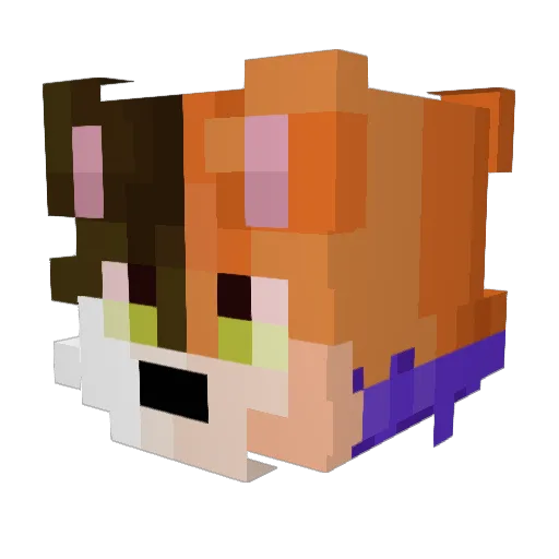 Baby_Vaker Minecraft avatar head, 3D render
