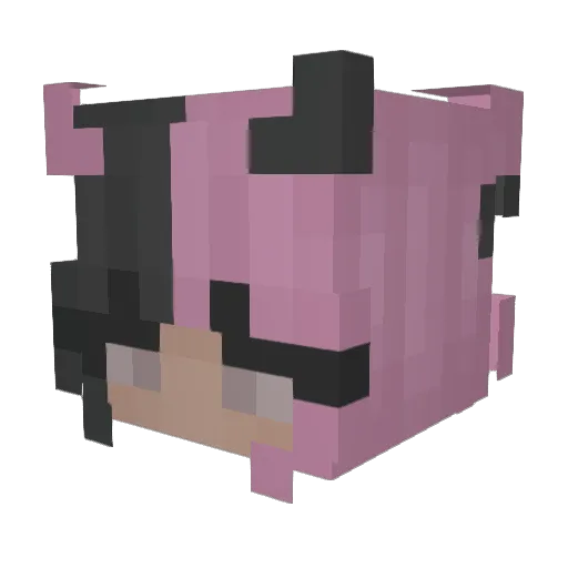 Babycake47 Minecraft avatar head, 3D render