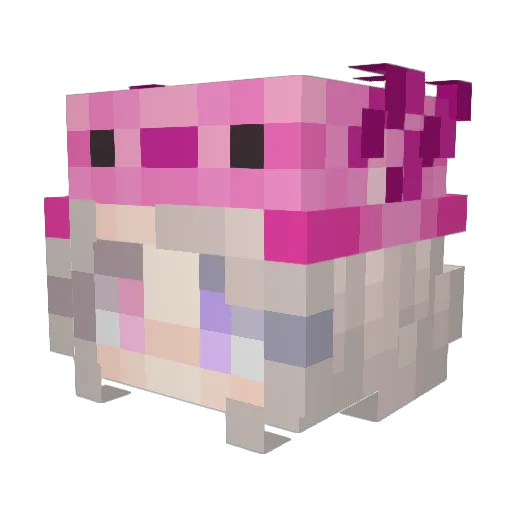 Babycakes0304 Minecraft avatar head, 3D render