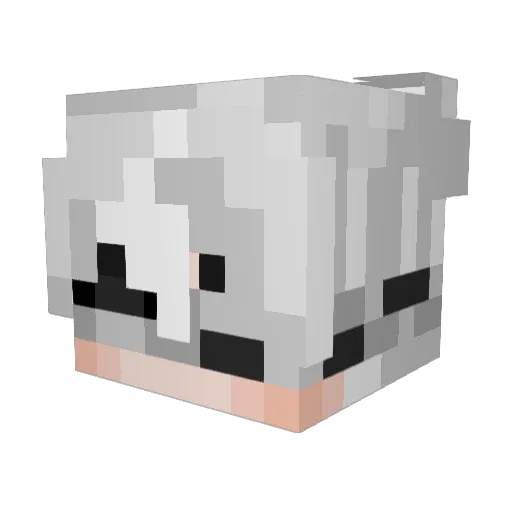 Babyhakeerpoo Minecraft avatar head, 3D render