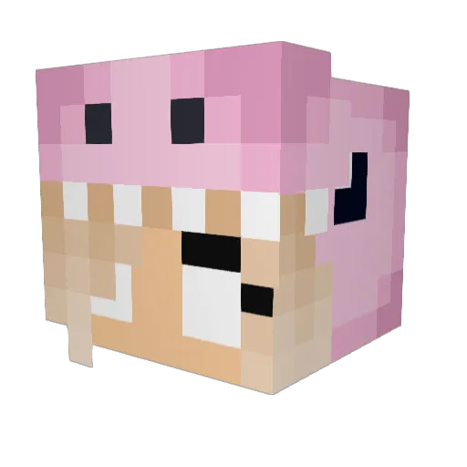 Babysbitxh Minecraft avatar head, 3D render