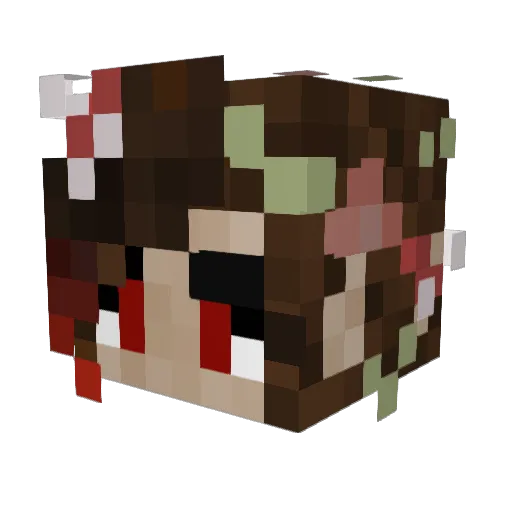 Babytrin201 Minecraft avatar head, 3D render