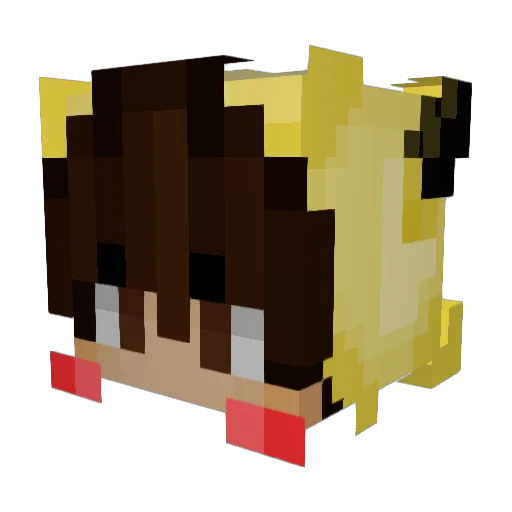 BabyyPandaaa Minecraft avatar head, 3D render