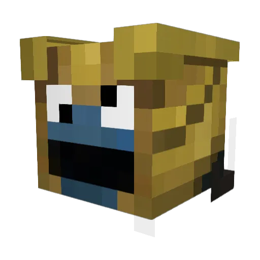 Bac0nPancak3 Minecraft avatar head, 3D render