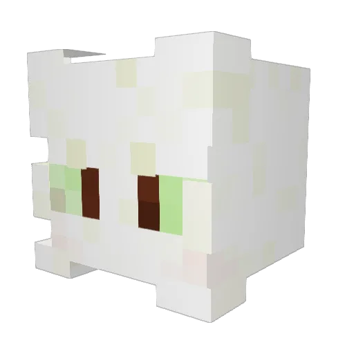 Bac0nnnn Minecraft avatar head, 3D render