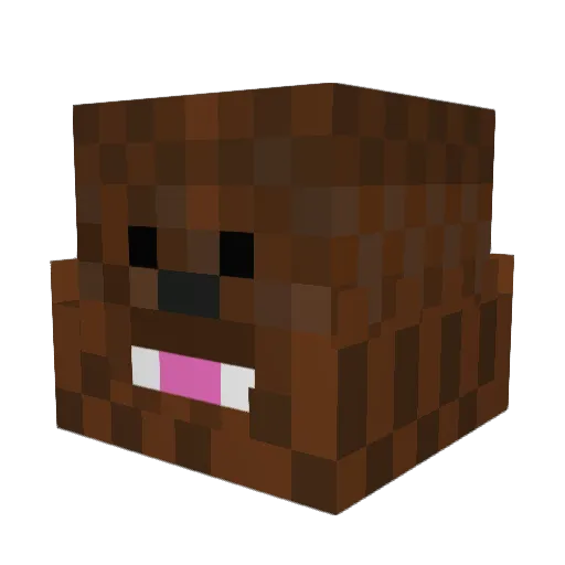 Bacca19000 Minecraft avatar head, 3D render