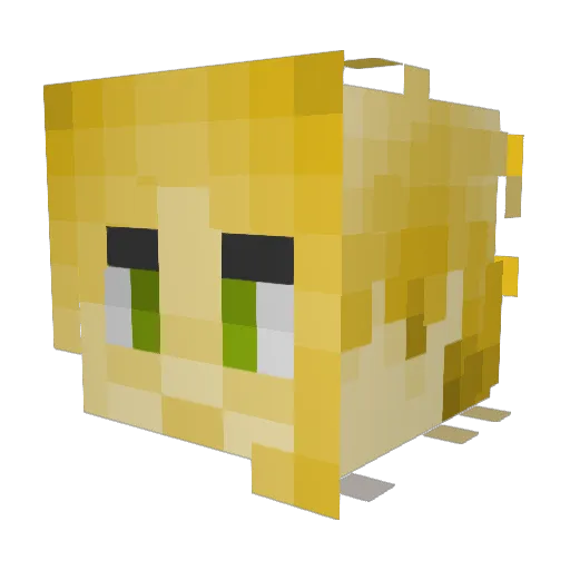 Baccaking206 Minecraft avatar head, 3D render