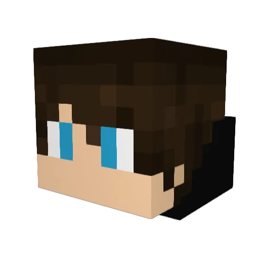 Bacek007 Minecraft avatar head, 3D render