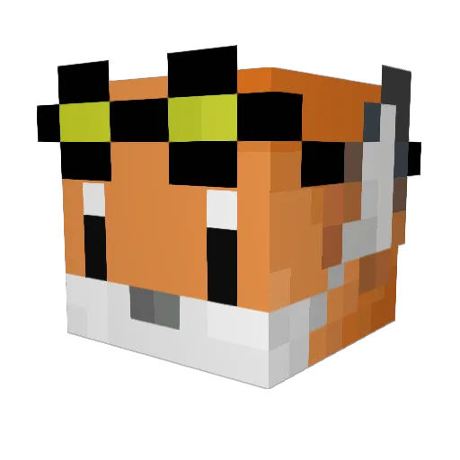 Bacheren Minecraft avatar head, 3D render