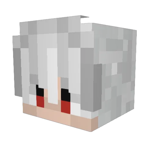 Bachus222 Minecraft avatar head, 3D render