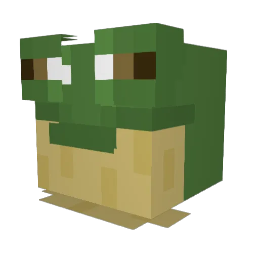 Back0fTheBus Minecraft avatar head, 3D render