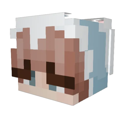 BackFatMK2 Minecraft avatar head, 3D render