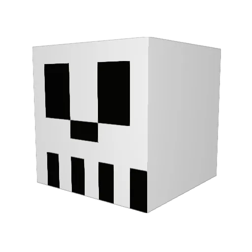 BackPackBOB1998 Minecraft avatar head, 3D render