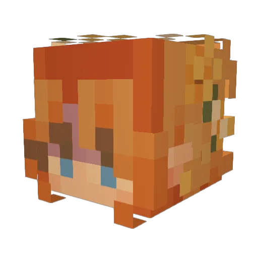 BackSpace9425 Minecraft avatar head, 3D render